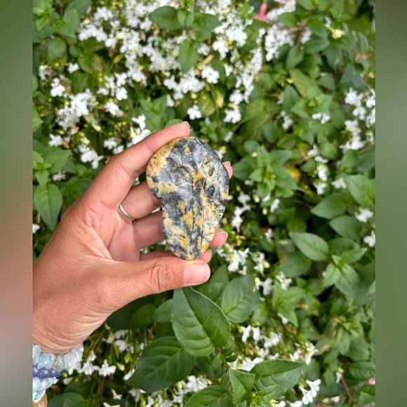 Other - Jasper slab